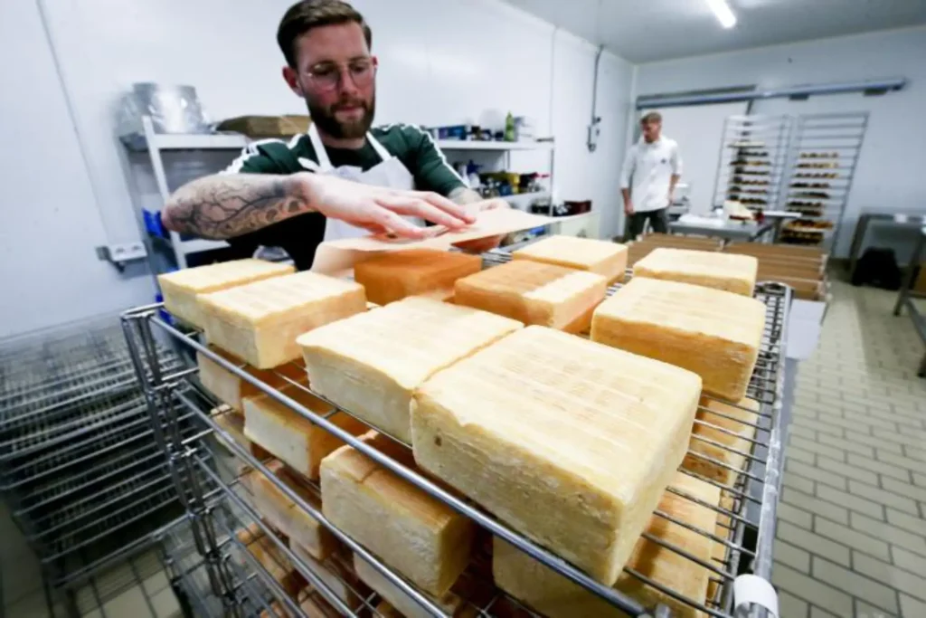 un jeune homme avec des lunettes et tatoué en train de disposer des fromages maroilles sur un plateau. en arrière plan, on distingue un employé en train de travailler à la fabrication des fromages