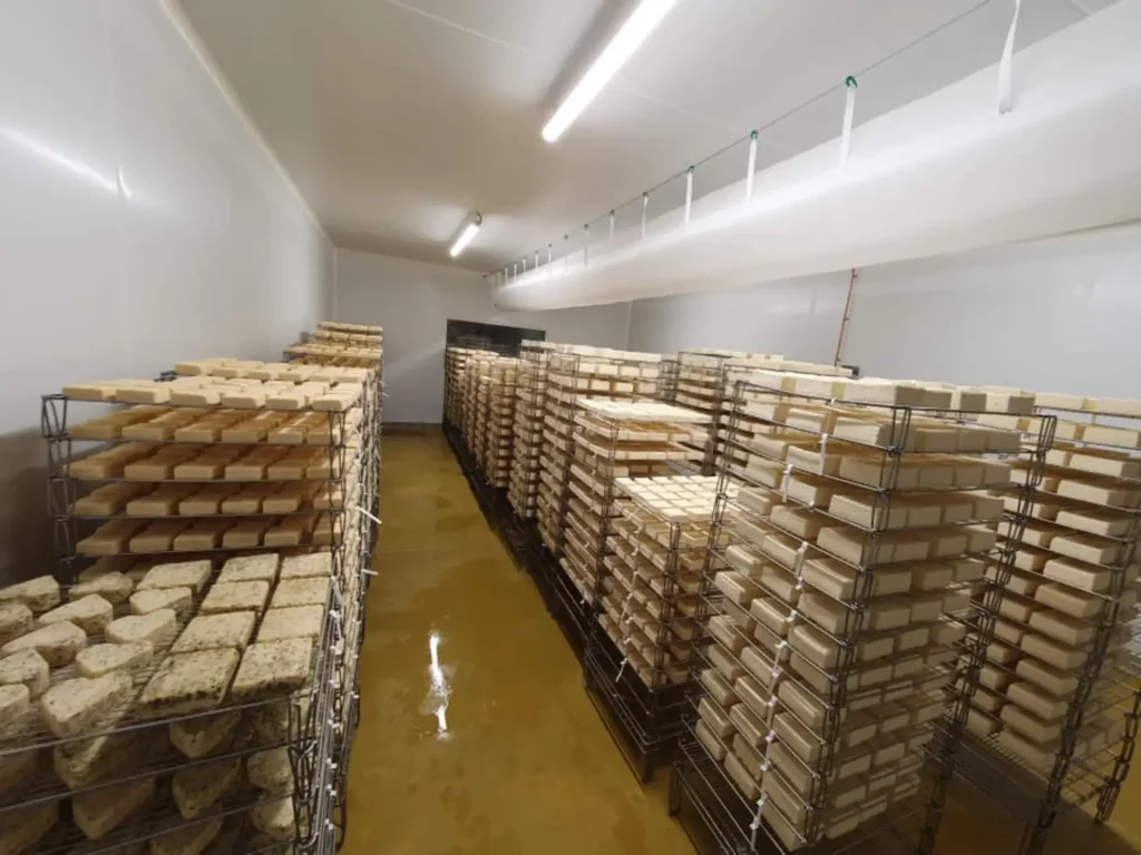 les frigos de l'entreprise Montcerf à maroilles avec une trés grande quantité de chariot pleins de fromages maroilles, toutes les spécialités de la ferme, la pièce est trés propre.