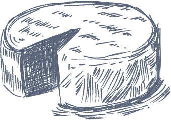 dessin à la main d'un fromage maroilles